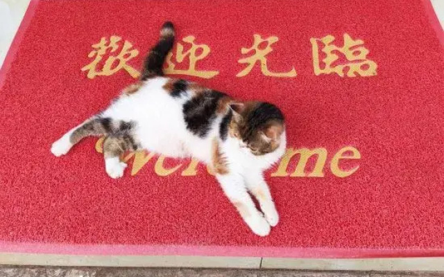 Xiaoqikong nanmu lnn