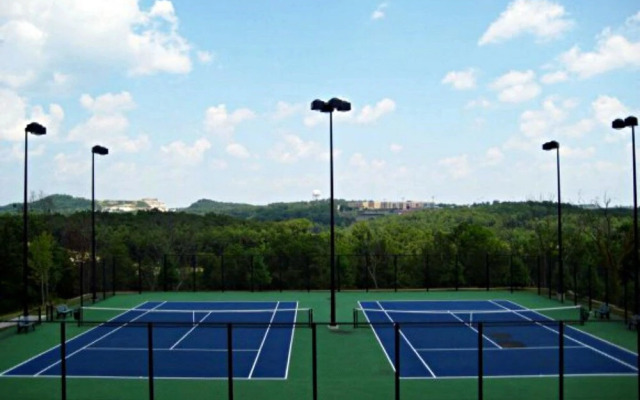 Villa 112 in Branson