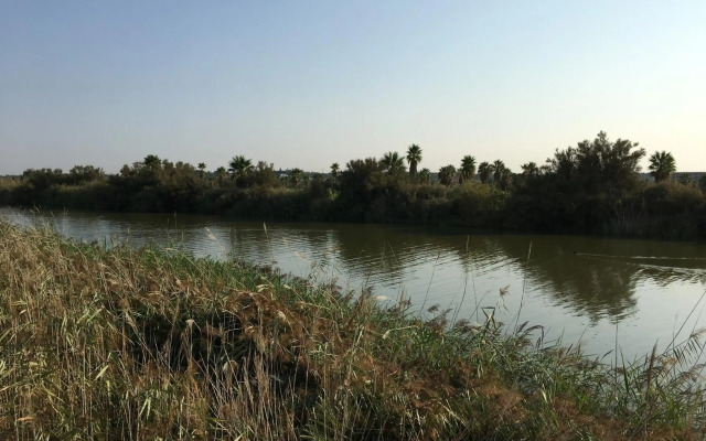 Salgados Vila das Lagoas