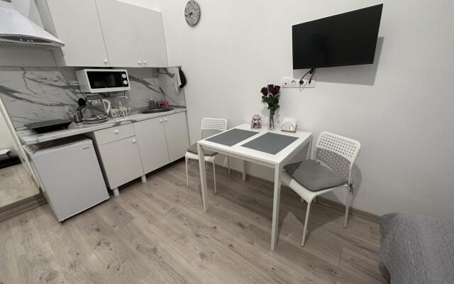 A network of guest apartments on Sitnikova street 6