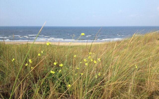 Bungalow for 8 People on the Edge of the Forest Located Between Egmond & Bergen