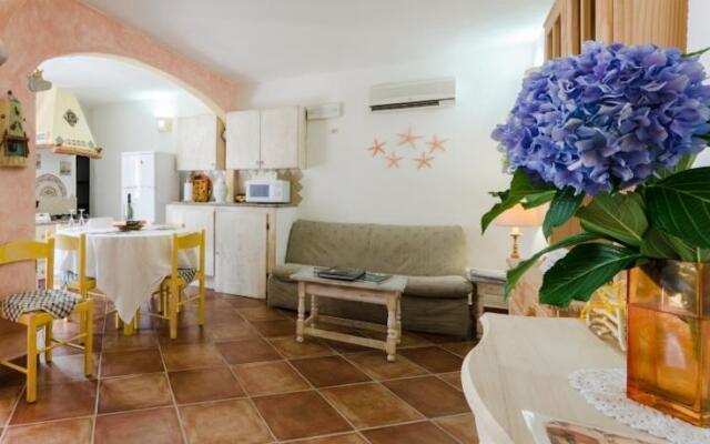 Tre Delfini - Stelle Marine