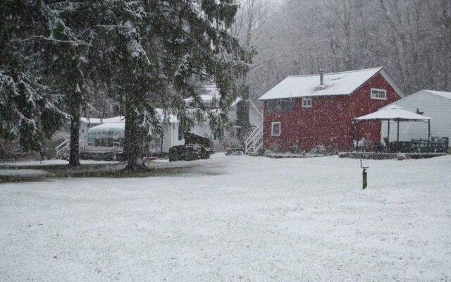 Brook Falls Farm