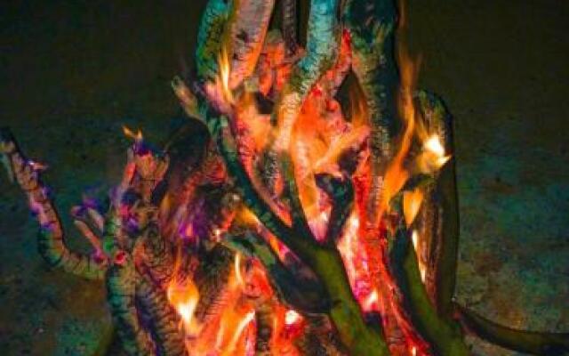 Wildwood Campfires