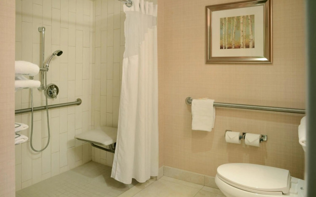 Holiday Inn and Suites Winnipeg Downtown by IHG