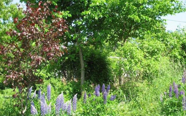 The Nelson House Bed & Breakfast
