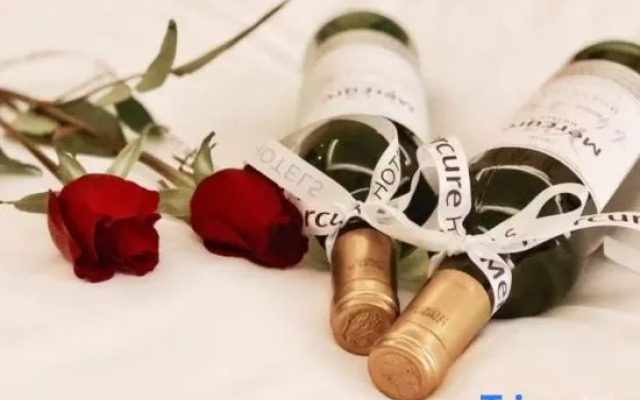 Mercure Shanghai Jinqiao North Industrial Park