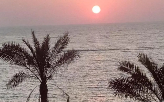الاسكندرية