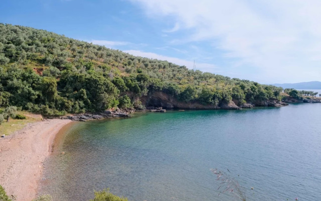 John s House - Chorto Pelion