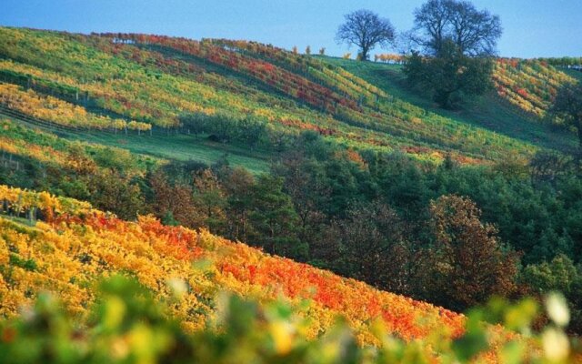 Gasthof Hotel Zum Weinberg
