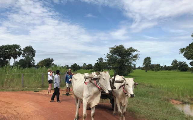 Madam Sokha Homesteading