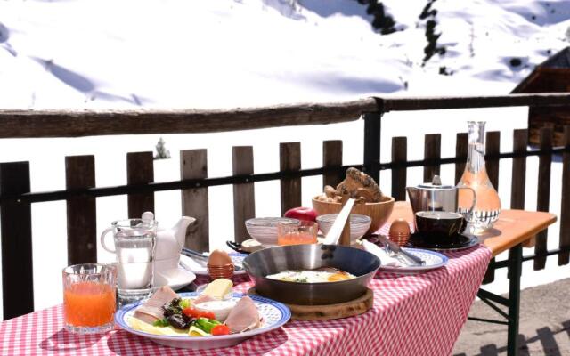 Gjaid-Alm 1738m am Dachstein-Krippenstein