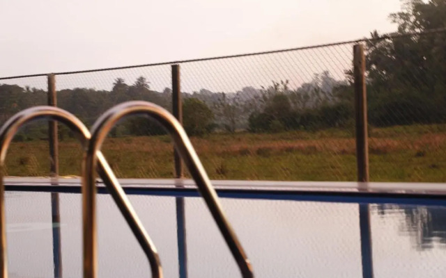 Jungle Villa