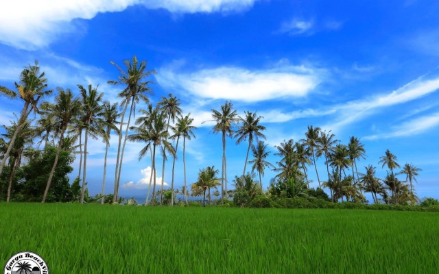 The Garga Beach Villas
