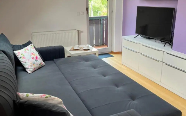 Apartment Story