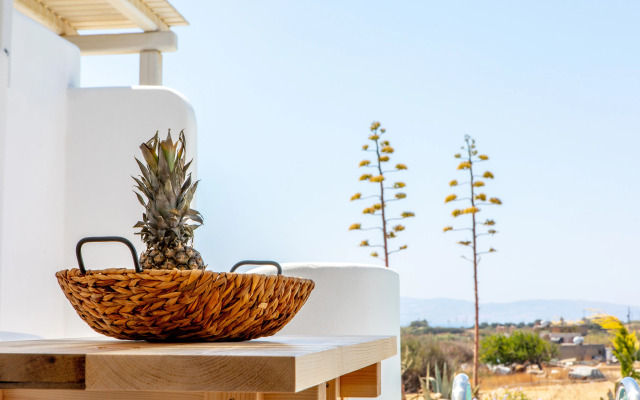 Argana Villa Naxos