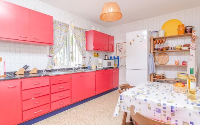 Torre Marina Alga Marina