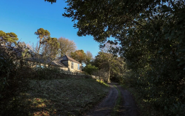 Plas Elyn