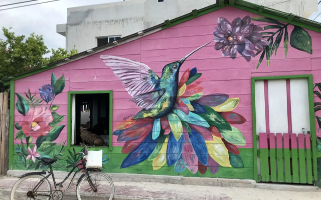 Ecoco Holbox - Ecochic - Holbox Retreat - Adults Only