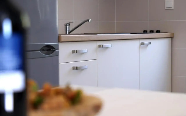 Apartment Ikovac