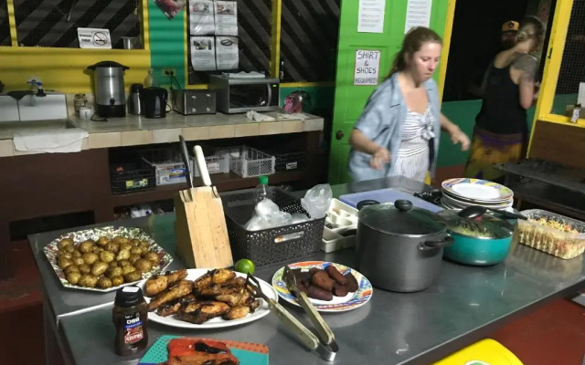 Palapa Hut Hostel & Camping