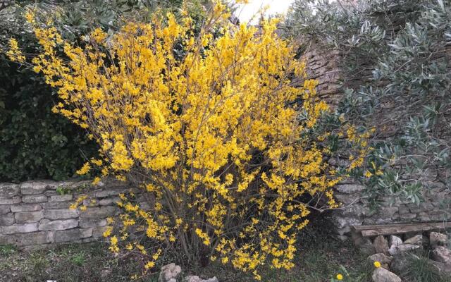 La Borie en Provence