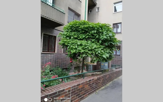 A Cozy Studio in the City Centre