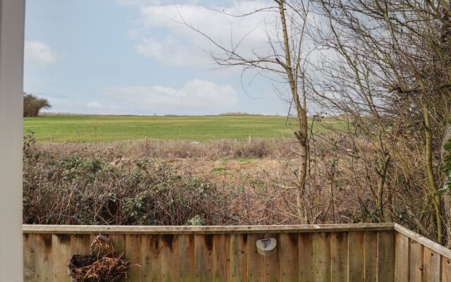 Field View