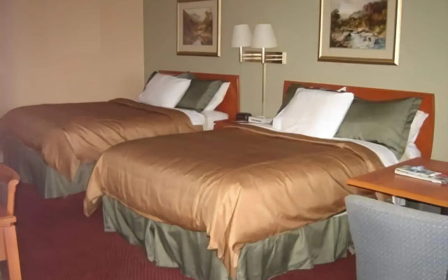 Tulip Inn