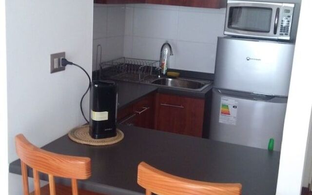 Apart Hotel Plaza Suite Los Carrera