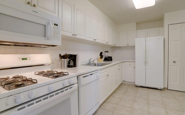 Charming Elegance Crystal City Apartment