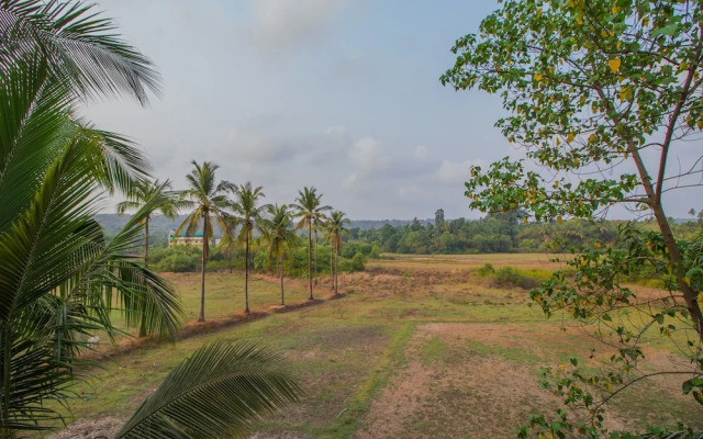 OYO 12987 Home Spacious Studio Mandrem Beach