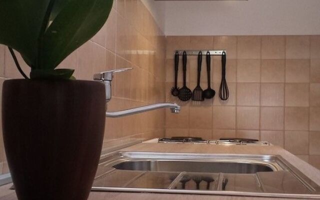 Apartment Stegic / Two Bedrooms A1