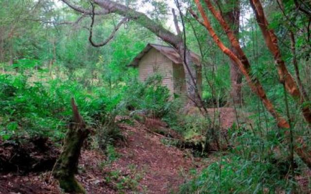 Licanray Cabaña 10 personas Condominio