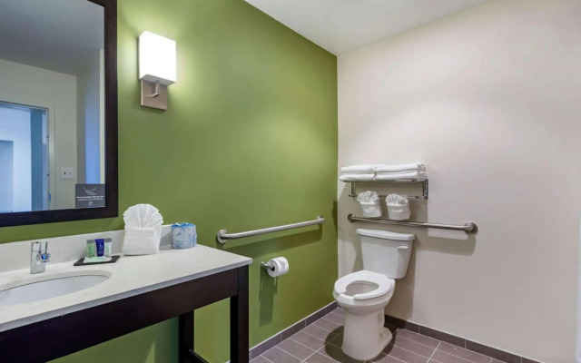 Sleep Inn & Suites Tampa South