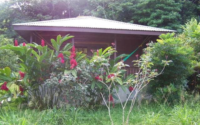 3 Rivers & Rosalie Forest Eco Lodge