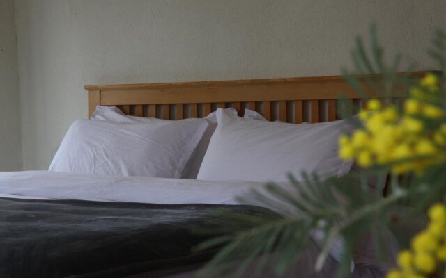 Dali Shaxi Moss Inn