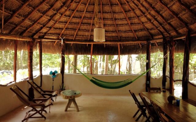 Room-unique Jungle Dome Ik