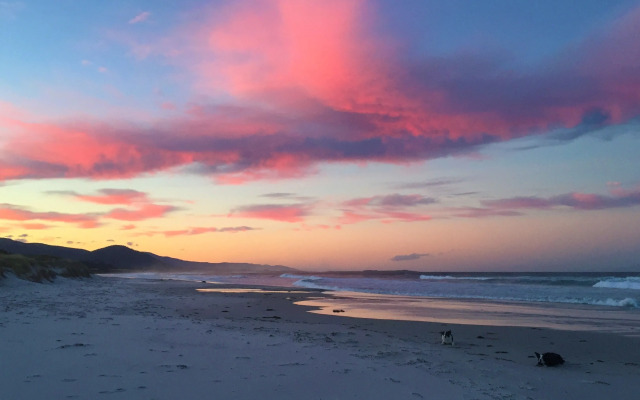 Sandpiper Ocean Cottages