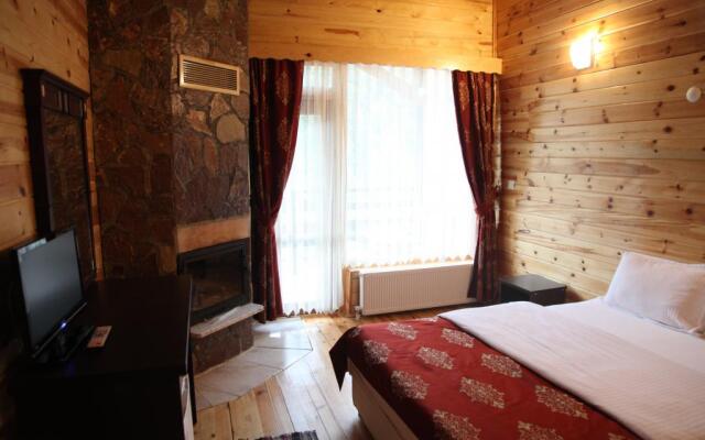 Abant Kartal Yuvasi Hotel