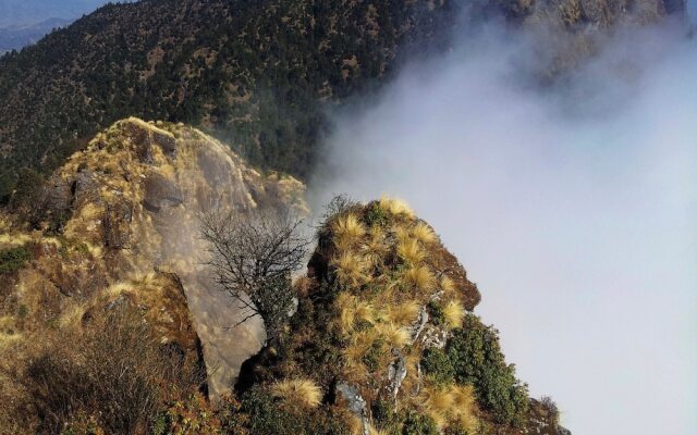 Mount Mahabharat Homestay