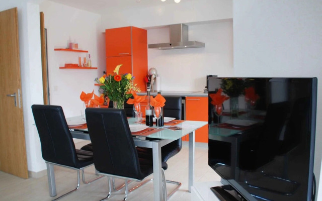 Saleggi Apt 20 Locarno