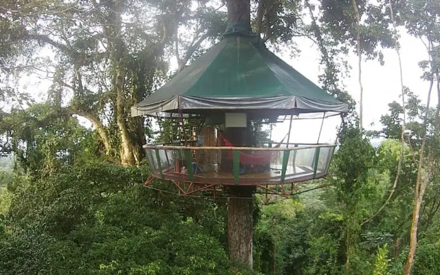 Nature Observatorio Amazing Treehouse