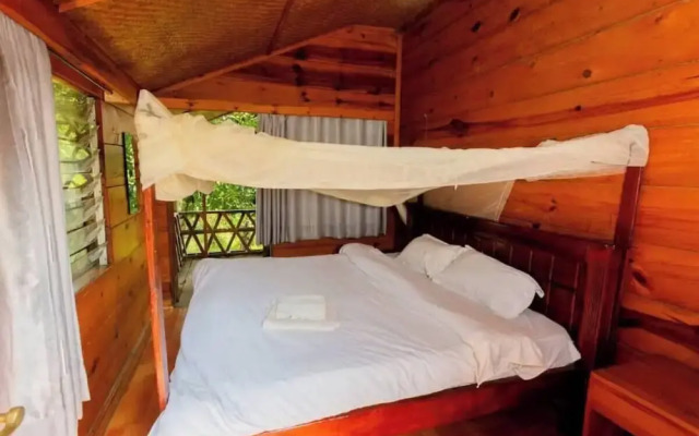 Ruwenzori View Guest House