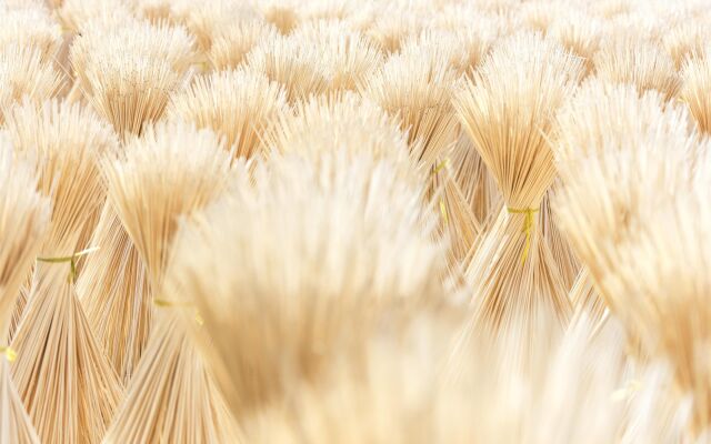 Sheraton Huzhou Taihu Lake Hot Spring Resort & Spa