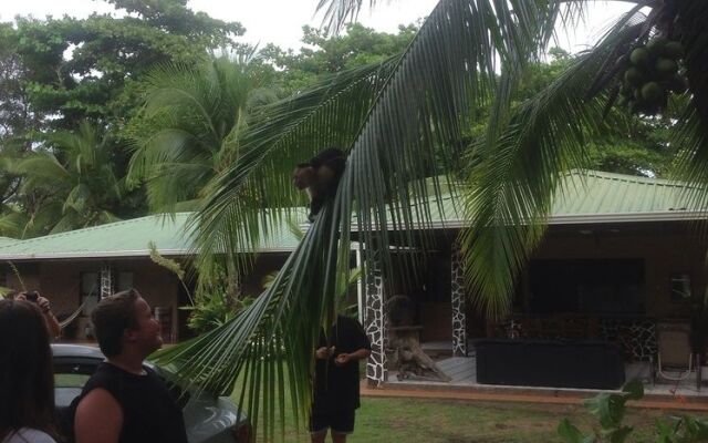 Hotel La Tranquilidad