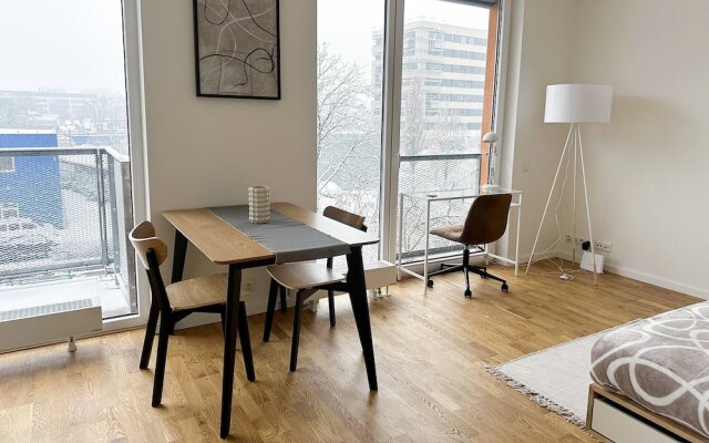 Spacious Work-focused Apartments in Prague 3