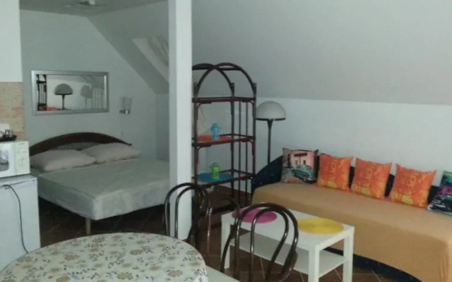 Crazy Frog Apartments