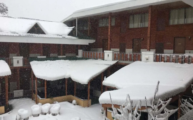 TreeHouse Chail Villas