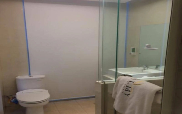 Hotel Palmy